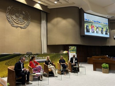 3rd Global Sustainable Rice Conference &amp; Exhibition