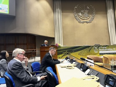 3rd Global Sustainable Rice Conference &amp; Exhibition