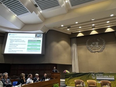 3rd Global Sustainable Rice Conference &amp; Exhibition