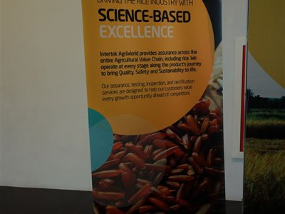 5.Exhibition