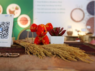 5.Exhibition