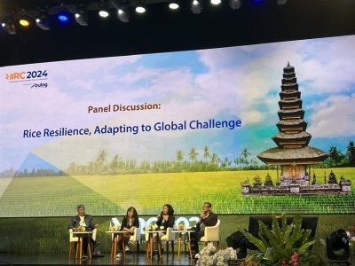 Indonesia International Rice Conference, September 2024 - Bulog