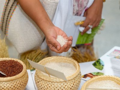 SS Rice News Convention 2025, Pattaya - Thailand