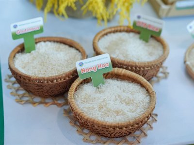 SS Rice News Convention 2025, Pattaya - Thailand