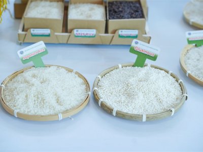 SS Rice News Convention 2025, Pattaya - Thailand