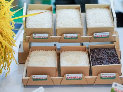 SS Rice News Convention 2025, Pattaya - Thailand