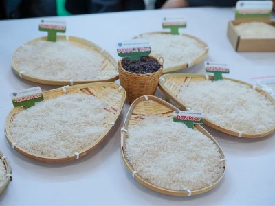 SS Rice News Convention 2025, Pattaya - Thailand