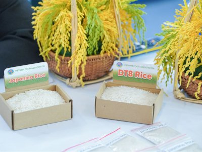 SS Rice News Convention 2025, Pattaya - Thailand