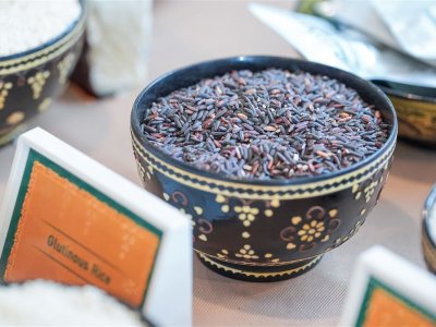 SS Rice News Convention 2025, Pattaya - Thailand