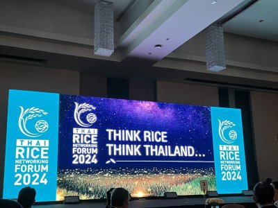 Thai Rice Networking Forum, September 2024 - Department of Foreign Trade